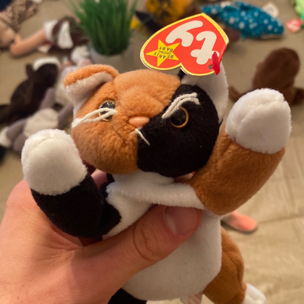 1996 chip beanie baby